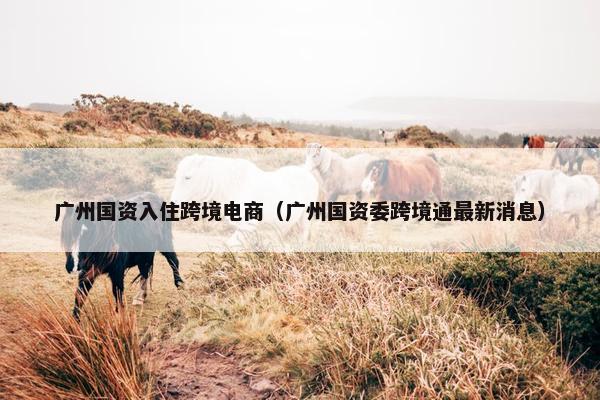 广州国资入住跨境电商（广州国资委跨境通最新消息）
