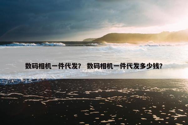 数码相机一件代发？ 数码相机一件代发多少钱？