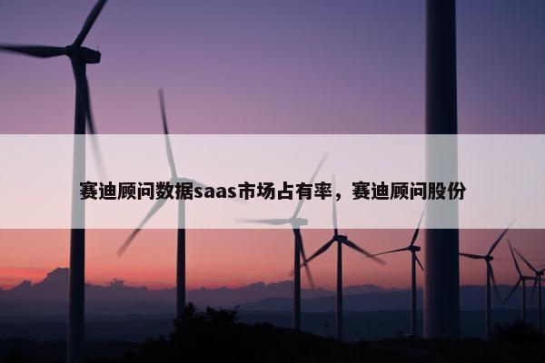赛迪顾问数据saas市场占有率，赛迪顾问股份