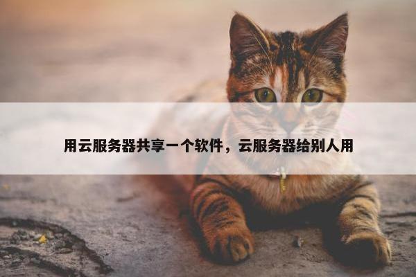 用云服务器共享一个软件，云服务器给别人用