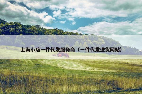 上海小店一件代发服务商（一件代发进货网站）