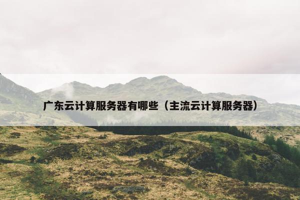 广东云计算服务器有哪些（主流云计算服务器）