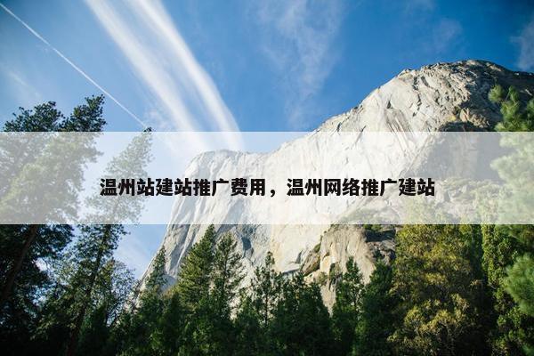 温州站建站推广费用，温州网络推广建站