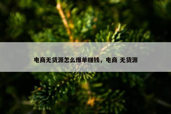 电商无货源怎么爆单赚钱，电商 无货源