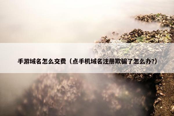 手游域名怎么交费（点手机域名注册欺骗了怎么办?）