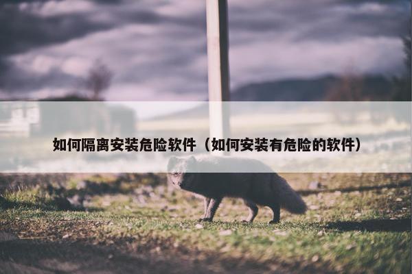 如何隔离安装危险软件（如何安装有危险的软件）
