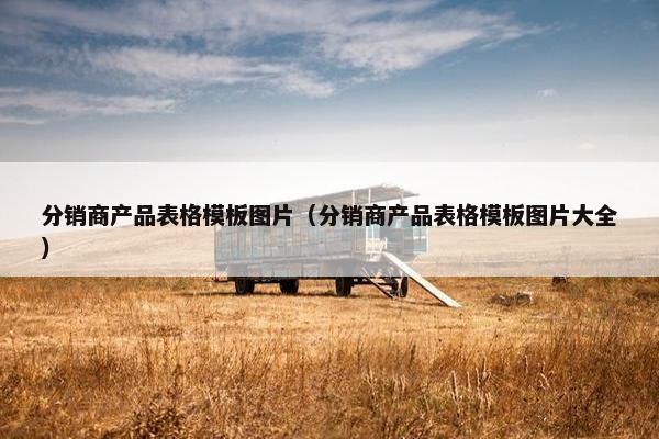 分销商产品表格模板图片（分销商产品表格模板图片大全）