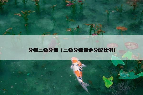 分销二级分佣（二级分销佣金分配比例）