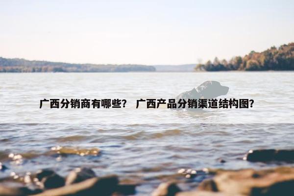 广西分销商有哪些？ 广西产品分销渠道结构图？