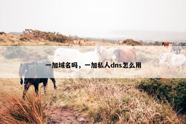 一加域名吗，一加私人dns怎么用