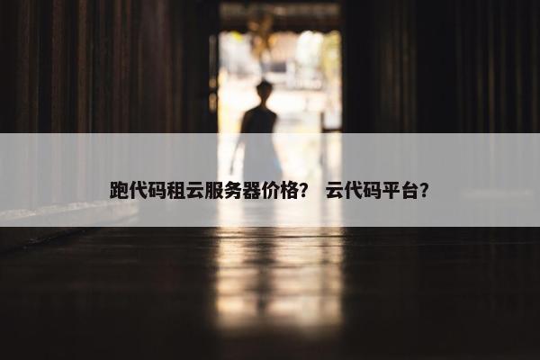 跑代码租云服务器价格？ 云代码平台？