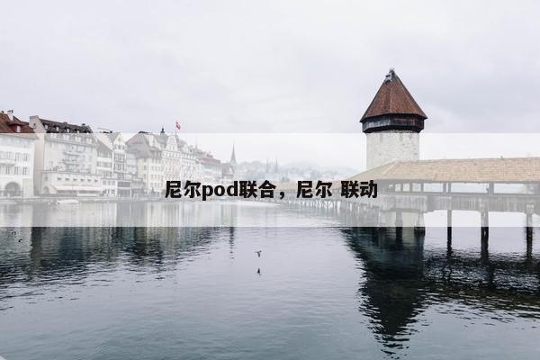 尼尔pod联合，尼尔 联动