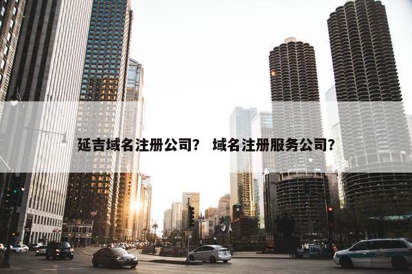延吉域名注册公司？ 域名注册服务公司？
