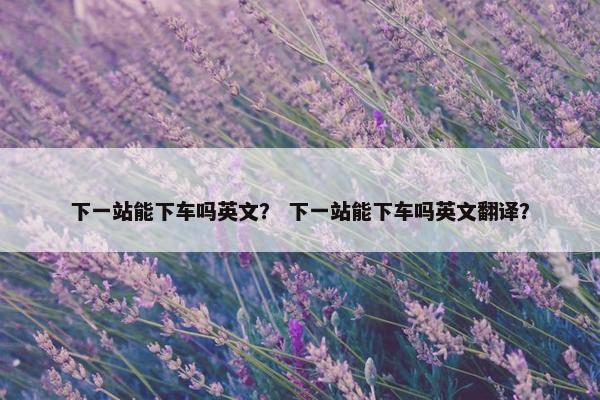 下一站能下车吗英文？ 下一站能下车吗英文翻译？