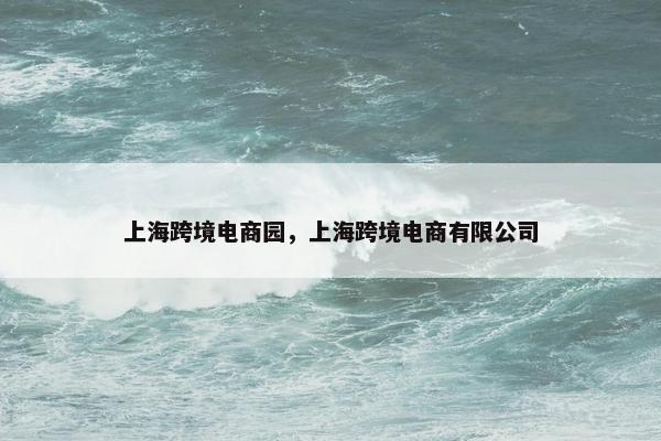 上海跨境电商园，上海跨境电商有限公司