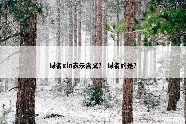 域名xin表示含义？ 域名的是？
