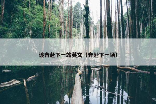 该奔赴下一站英文（奔赴下一场）