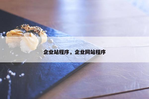 企业站程序，企业网站程序