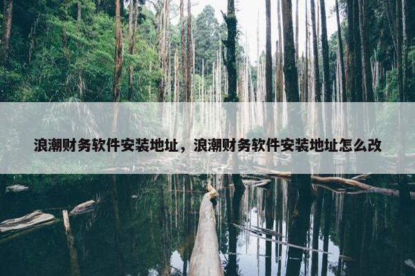 浪潮财务软件安装地址，浪潮财务软件安装地址怎么改