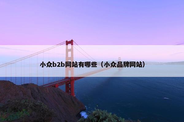 小众b2b网站有哪些（小众品牌网站）