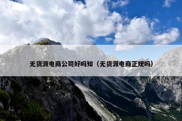 无货源电商公司好吗知（无货源电商正规吗）