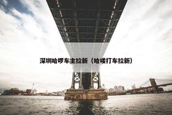 深圳哈啰车主拉新（哈喽打车拉新）