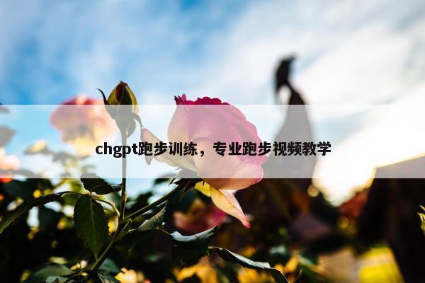 chgpt跑步训练，专业跑步视频教学