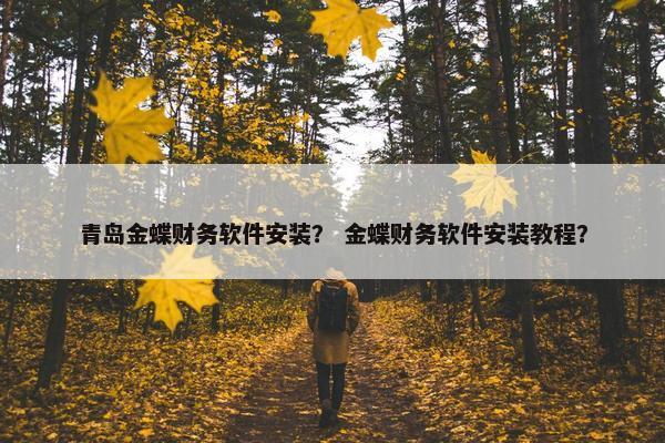 青岛金蝶财务软件安装？ 金蝶财务软件安装教程？