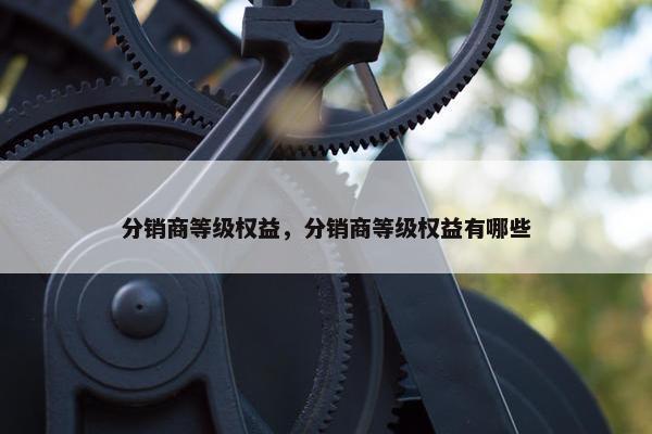分销商等级权益，分销商等级权益有哪些