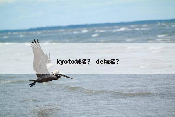 kyoto域名？ de域名？