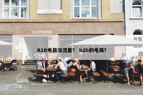 B2B电商没流量？ b2b的电商？