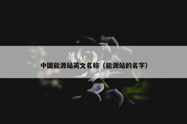 中国能源站英文名称（能源站的名字）