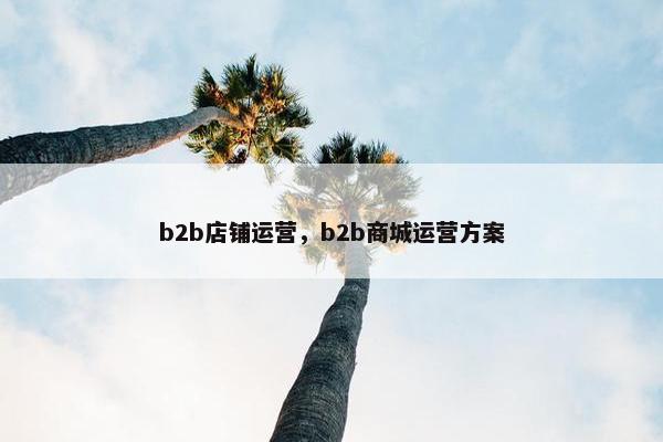 b2b店铺运营，b2b商城运营方案