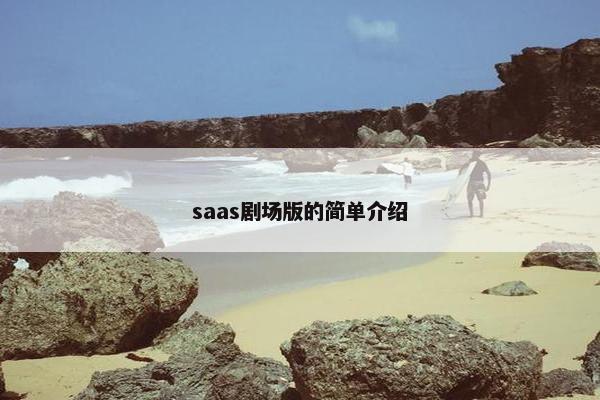 saas剧场版的简单介绍