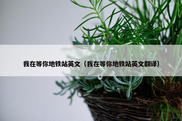 我在等你地铁站英文（我在等你地铁站英文翻译）