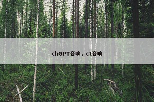 chGPT音响，ct音响