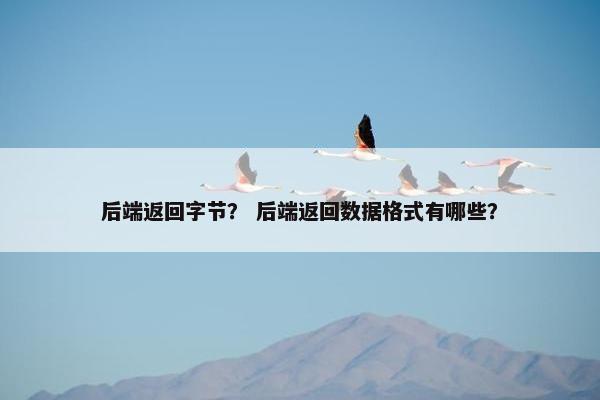 后端返回字节？ 后端返回数据格式有哪些？