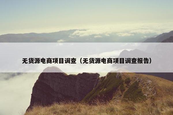无货源电商项目调查（无货源电商项目调查报告）