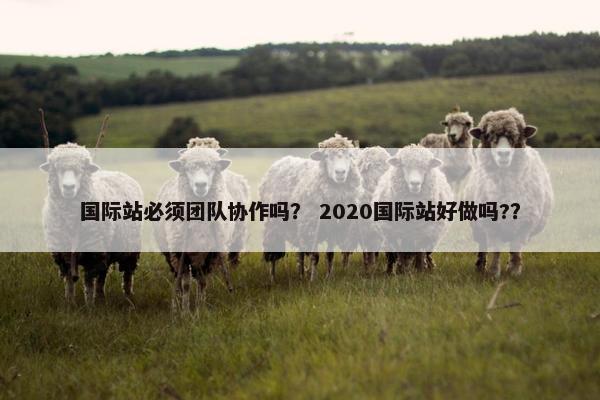 国际站必须团队协作吗？ 2020国际站好做吗?？