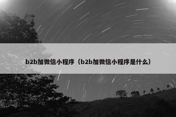 b2b加微信小程序（b2b加微信小程序是什么）