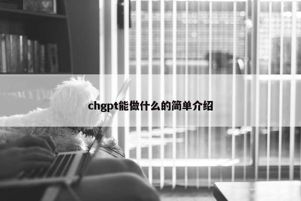 chgpt能做什么的简单介绍