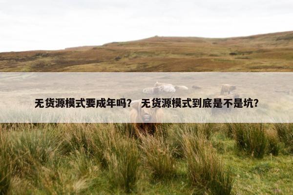 无货源模式要成年吗？ 无货源模式到底是不是坑？