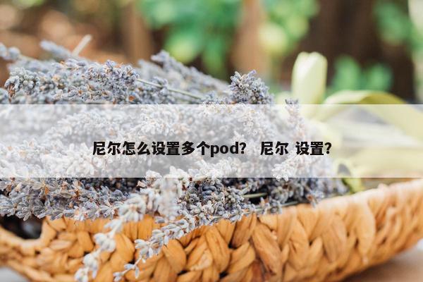 尼尔怎么设置多个pod？ 尼尔 设置？