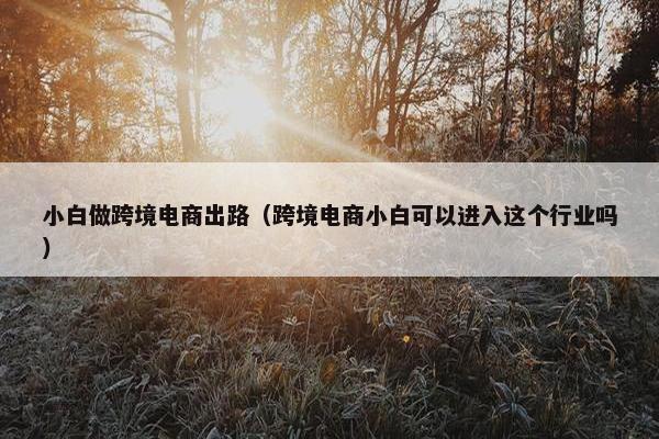 小白做跨境电商出路（跨境电商小白可以进入这个行业吗）