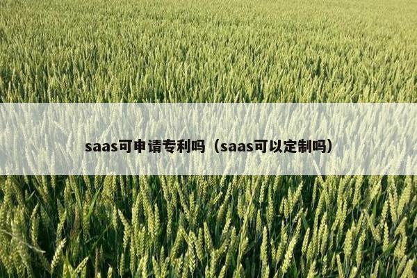 saas可申请专利吗（saas可以定制吗）