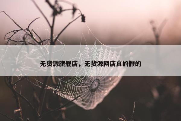 无货源旗舰店，无货源网店真的假的