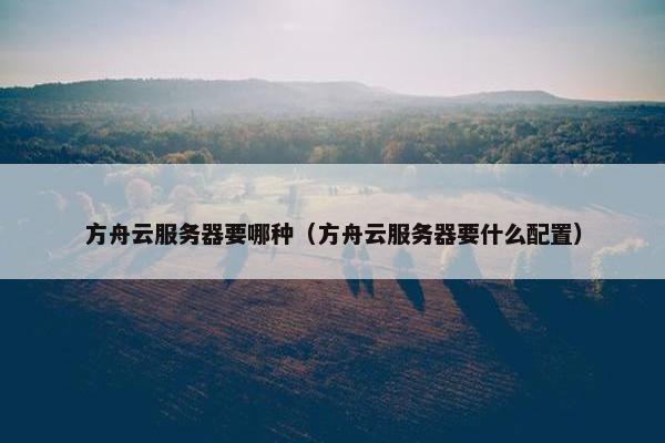 方舟云服务器要哪种（方舟云服务器要什么配置）