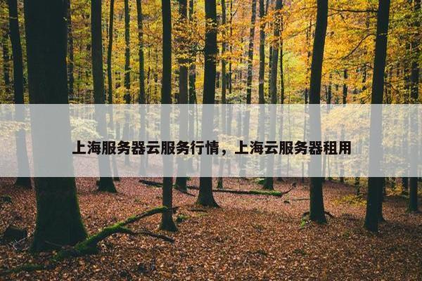 上海服务器云服务行情，上海云服务器租用