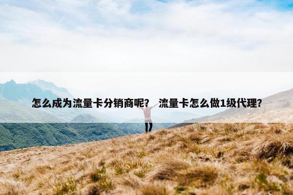 怎么成为流量卡分销商呢？ 流量卡怎么做1级代理？