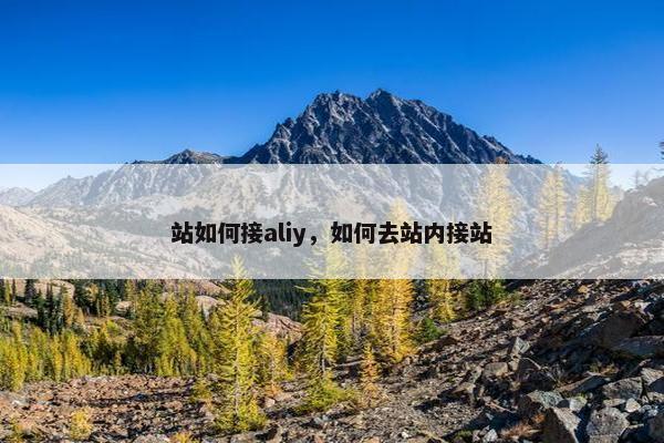 站如何接aliy，如何去站内接站